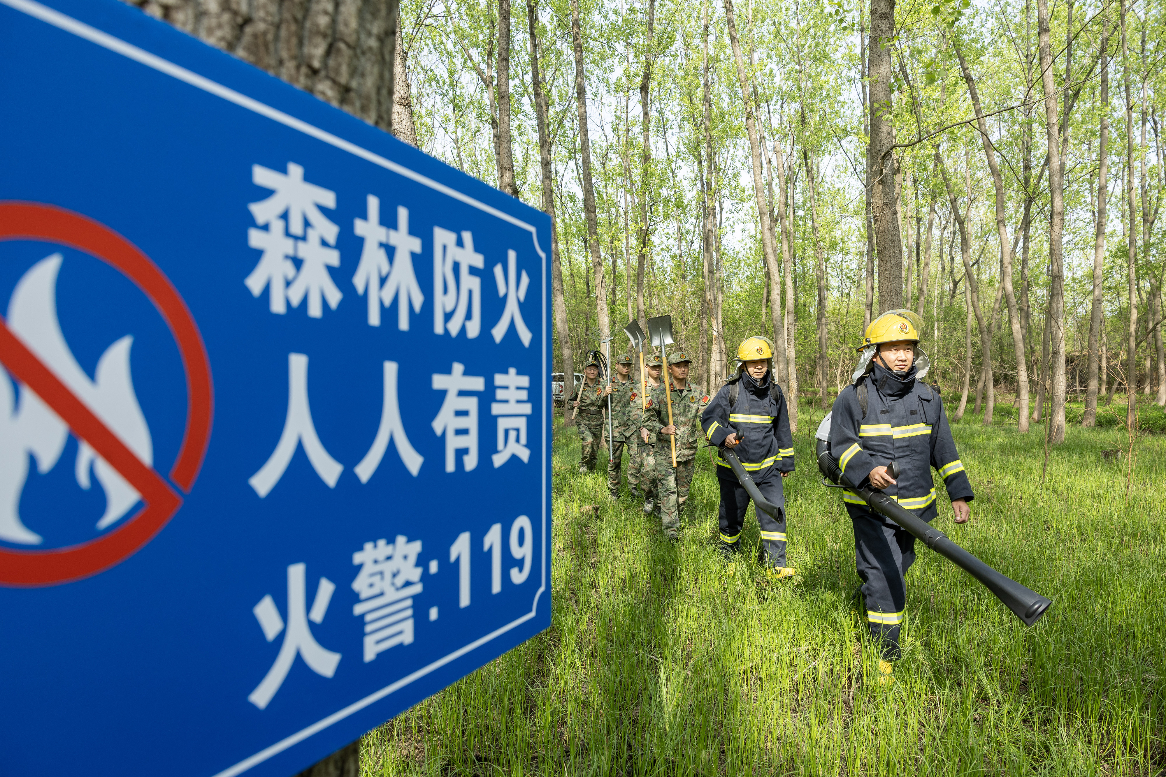 2024年4月9日，合肥市大房郢水庫水源保護(hù)地廬陽經(jīng)濟(jì)開發(fā)區(qū)段，基干民兵正在林間巡查火災(zāi)隱患。
