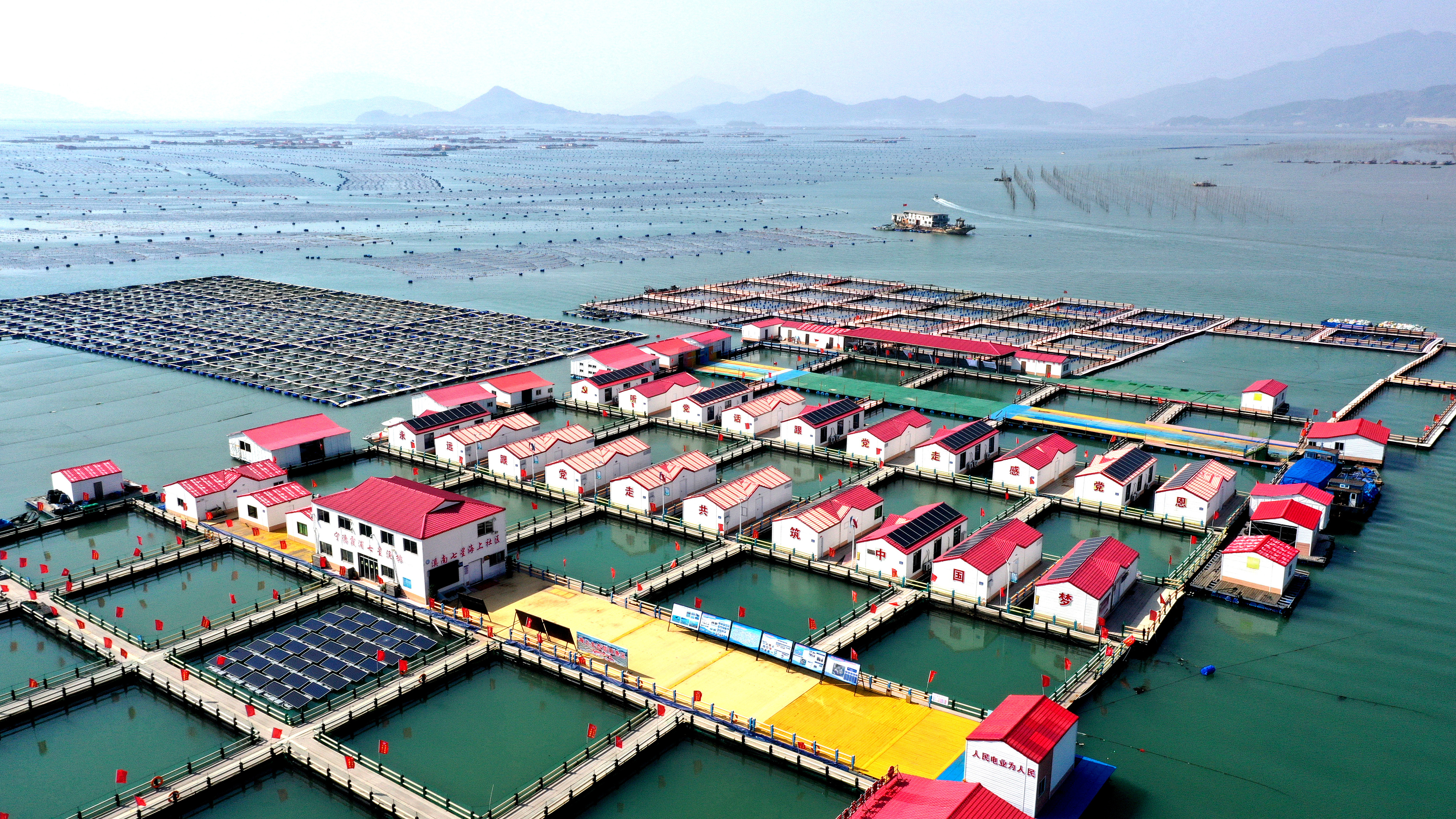 2024年3月20日，福建省寧德市，霞浦縣溪南鎮(zhèn)七星村漁排養(yǎng)殖示范區(qū)，漁民駕駛養(yǎng)殖船進(jìn)行海參養(yǎng)殖作業(yè)。